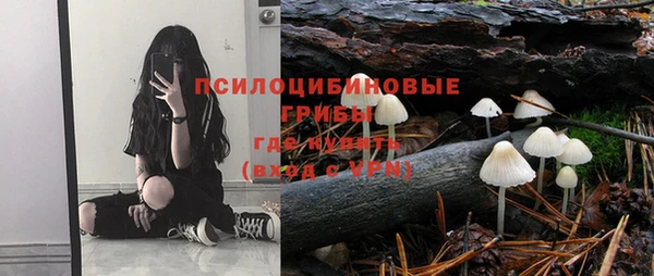 сатива Ханты-Мансийск