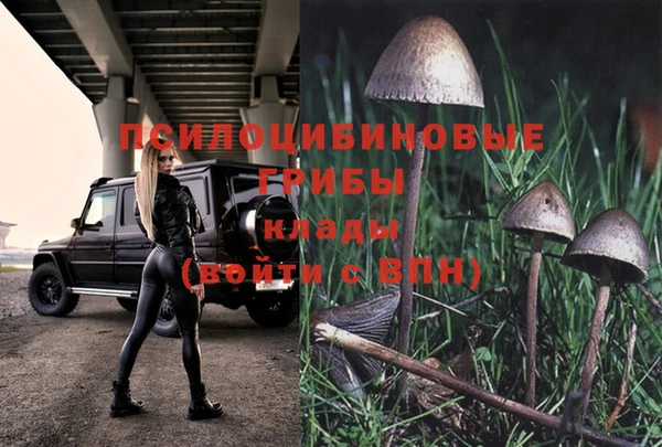 сатива Ханты-Мансийск